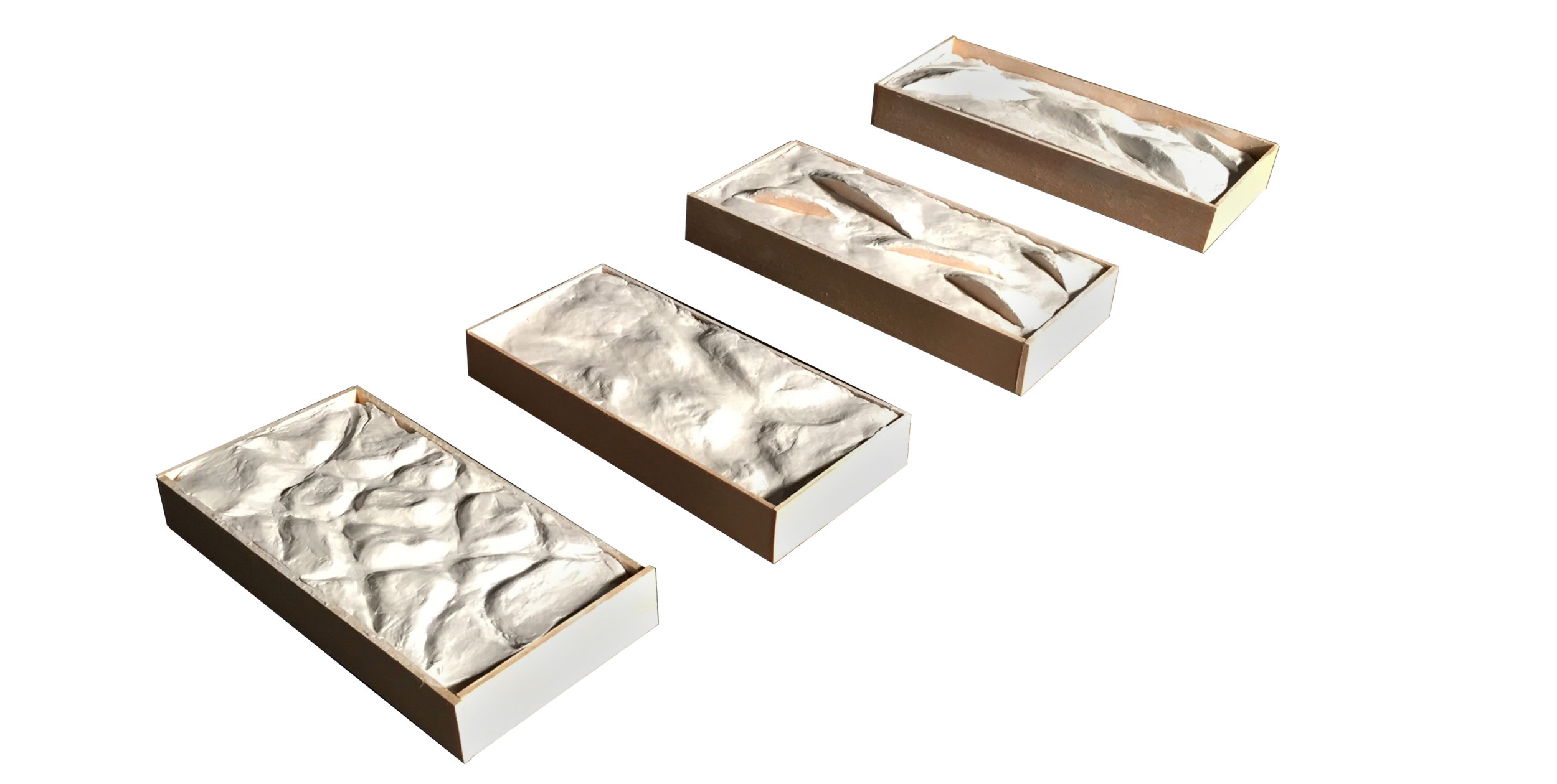 Study model detail